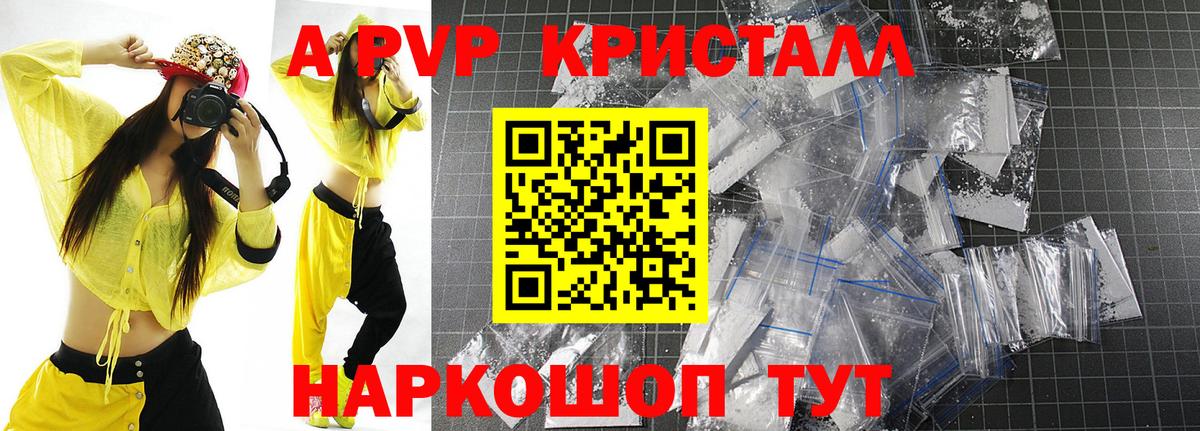 МЕФ Ишим