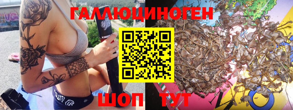 Псилоцибиновые грибы Psilocybine cubensis  Вход с VPN  Ишим 